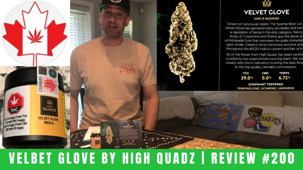 VELVET GLOVE by High Quadz | Review #200