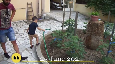 Deep watering on tomato plants with inverted bottles