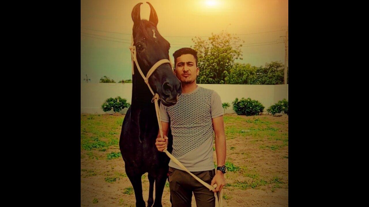 Horse riding