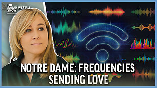 Internet Utiliizing Health and Love Frequencies vs Damaging EMFs – The Future can be Amazing