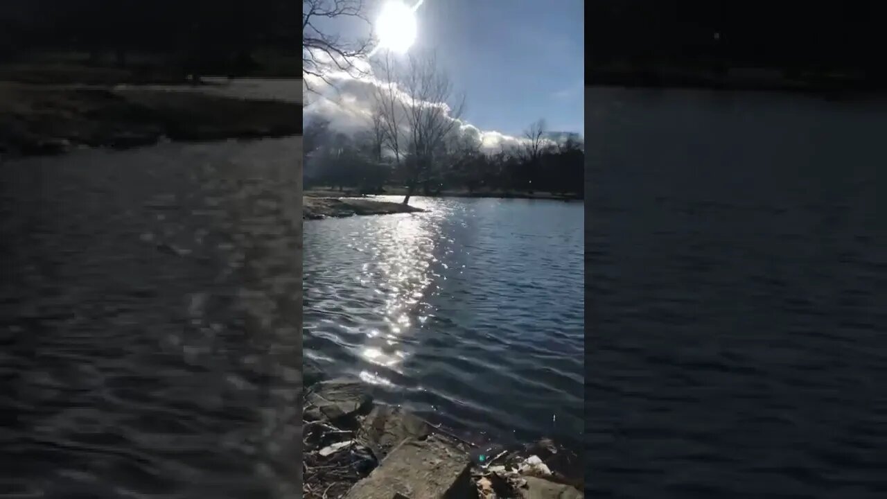 Beautiful body of water in Halifax