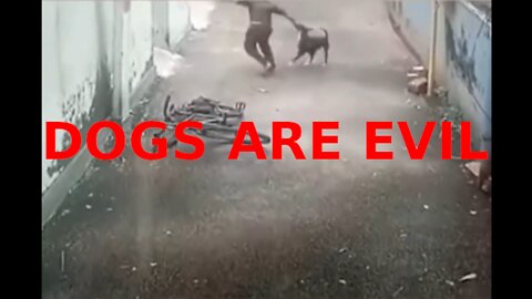 Why all loose dogs should be terminated 2