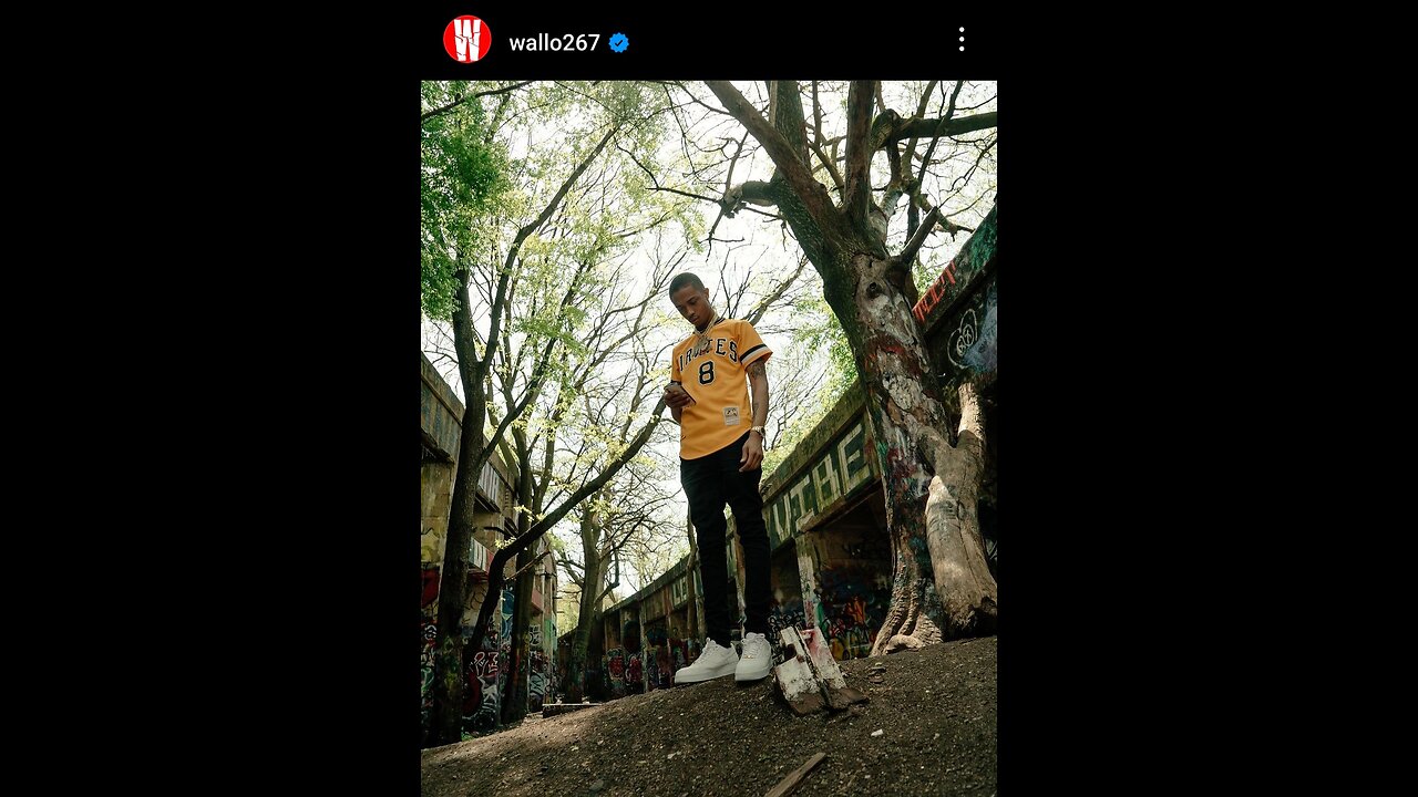 Latest Developments From The YNG Cheese Homicide Scene