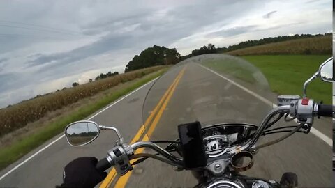 BIRD vs BIKER