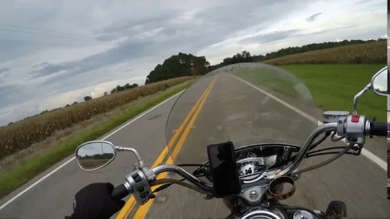 BIRD vs BIKER