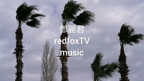 redfoxTVmusic