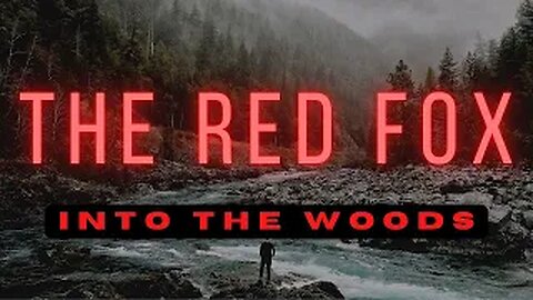 Into The Woods - The Red Fox 2021!