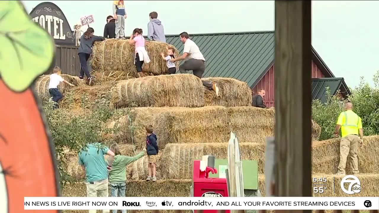 Metro Detroit cider mills prepare for fall season with COVID-19 precautions, smaller apple crop