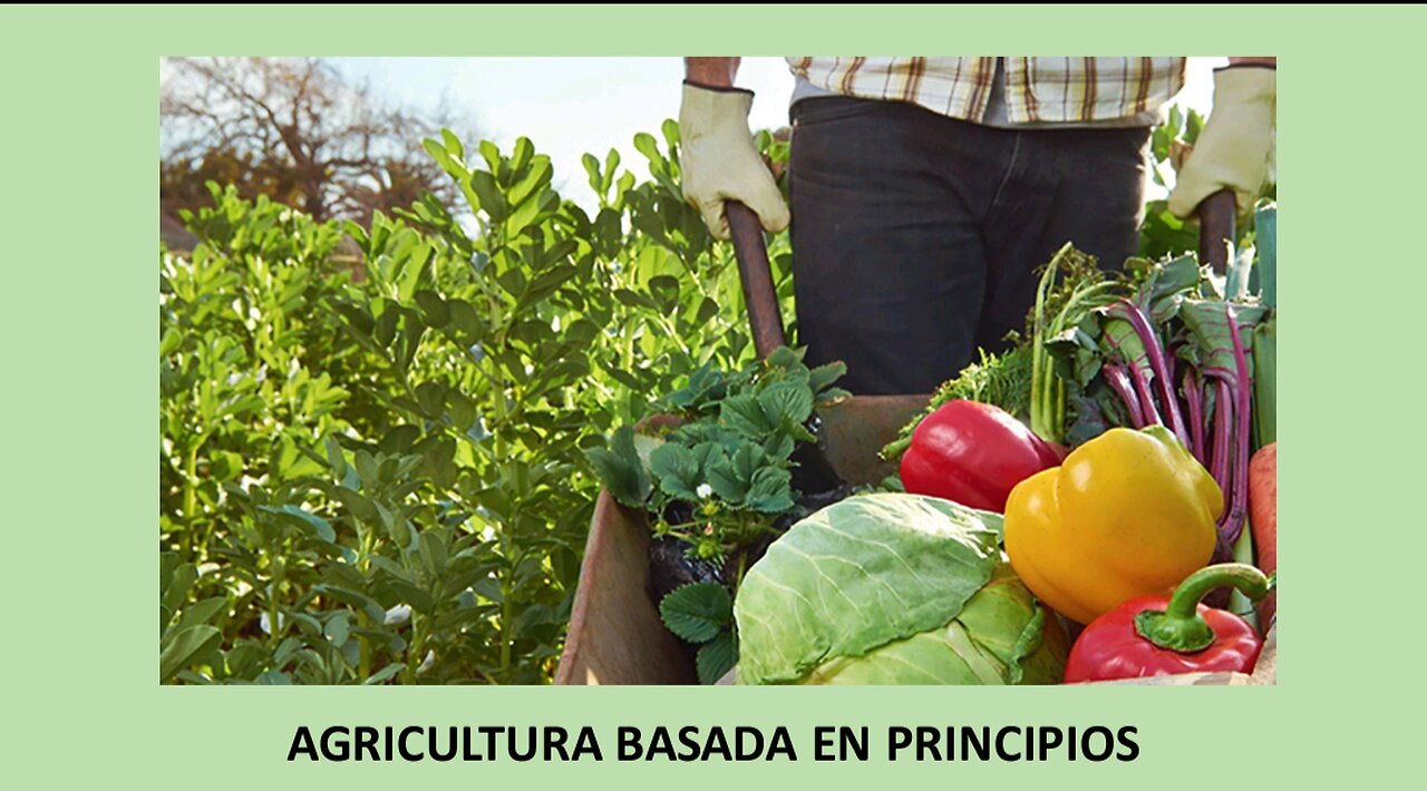 AGRICULTURA 3 - AGRICULTURA BASADA EN PRINCIPIOS - NICOLÁS BARRIOS