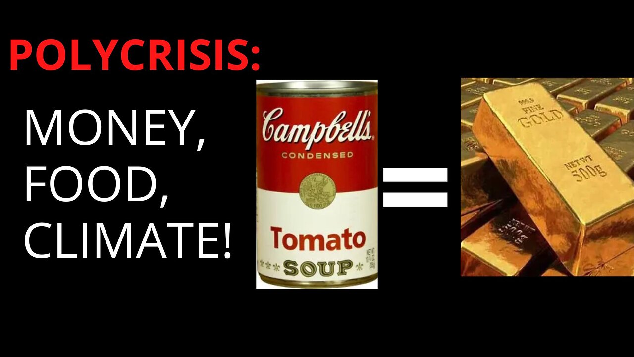 POLYCRISIS: MONEY, FOOD, CLIMATE