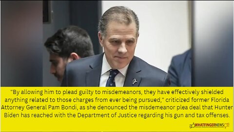 By allowing him to plead guilty to misdemeanors, they have effectively shielded anything related