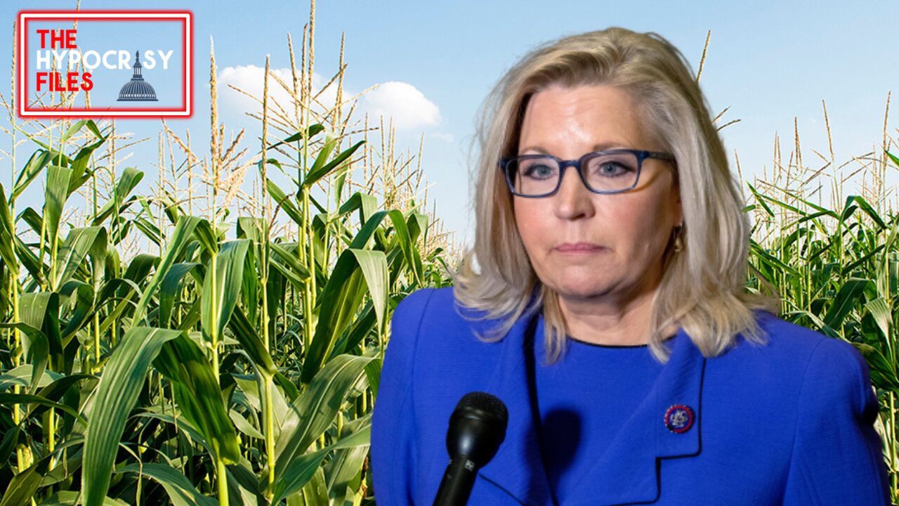 Liz Cheney Is Still Floating A 2024 Run To Help Biden