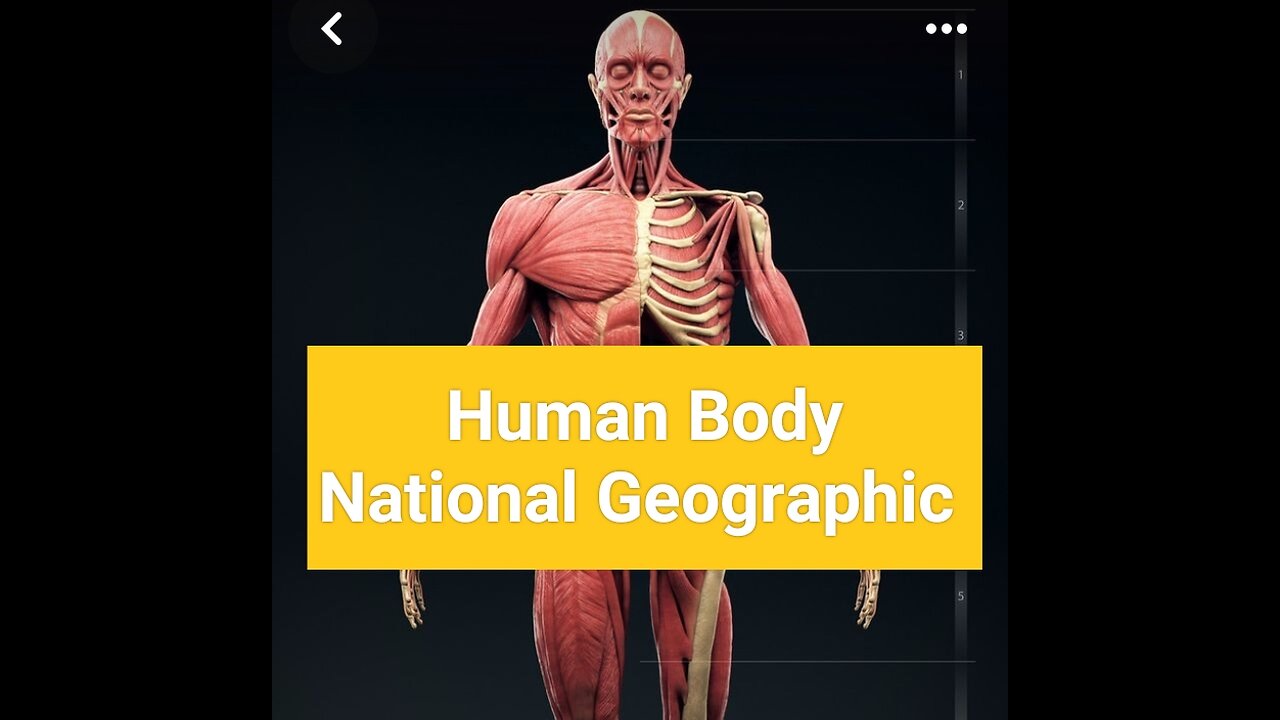 Human body National geographic