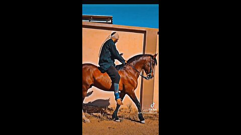 My horses / خيلي