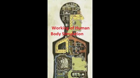 Human Body Working Simulation