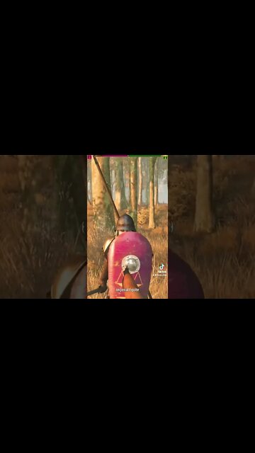 Bannerlord mods from TikTok 14