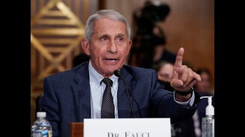 Dr. Fauci Responds to Verbal Beatdown Rand Paul Gave Him in the Senate