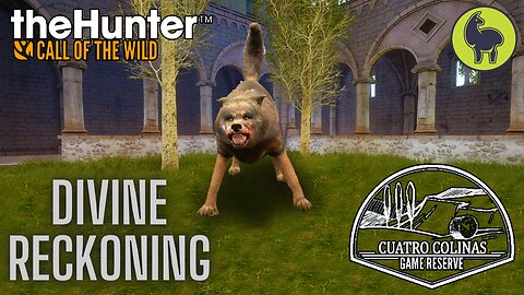 Divine Reckoning, Cuatro Colinas | theHunter: Call of the Wild (PS5 4K)