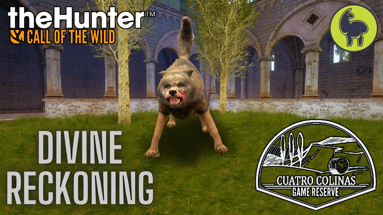 Divine Reckoning, Cuatro Colinas | theHunter: Call of the Wild (PS5 4K)