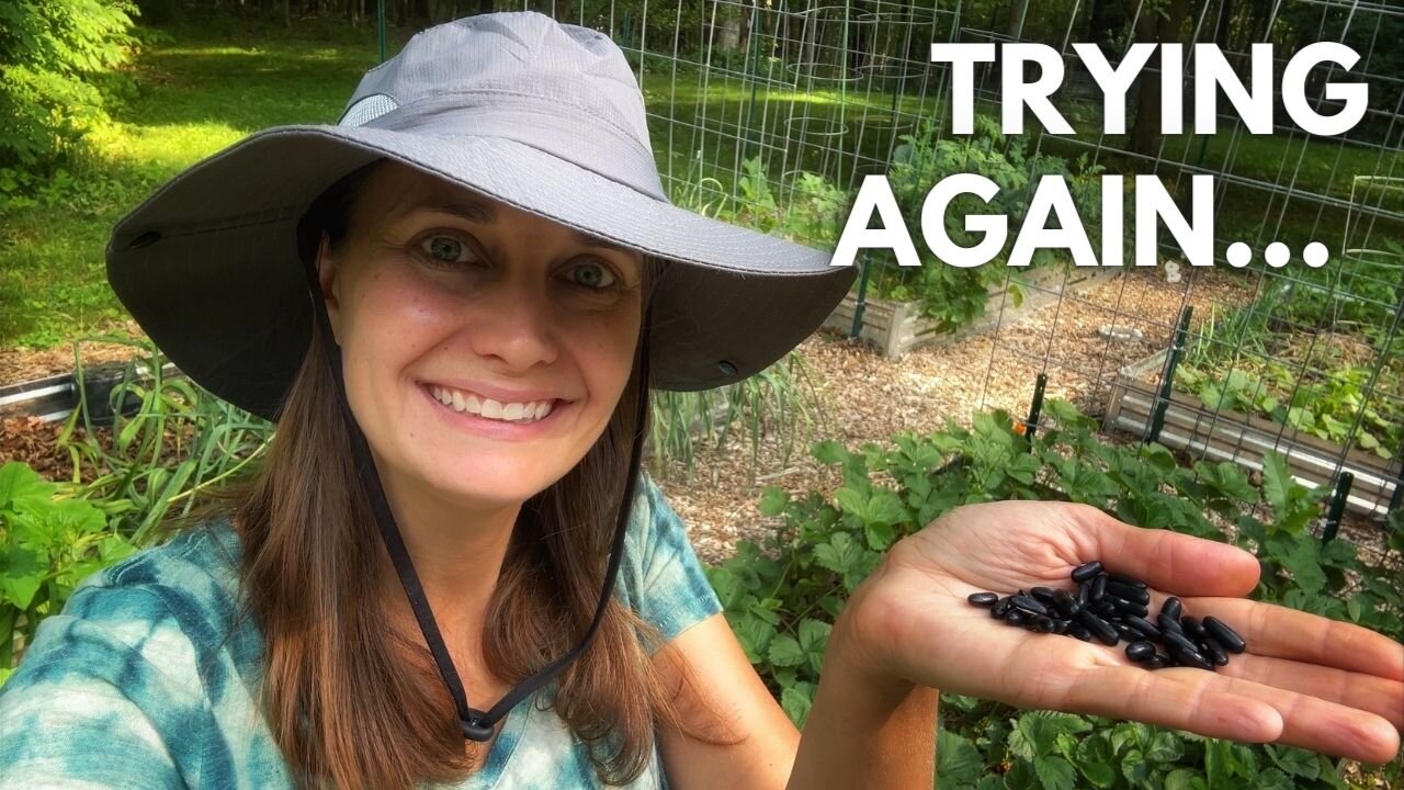 Succession Planting (Persistence is Important!)