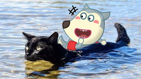Cats Hate Water Wolfoo In Real Life !! Funniest Cats And Dogs Videos