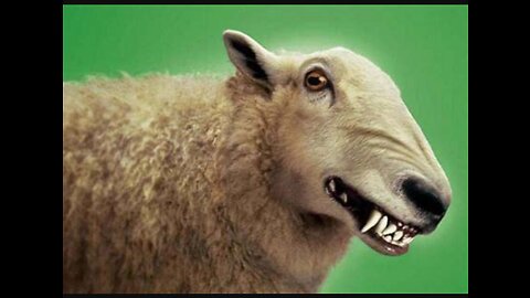 You can't trust anyone, but God