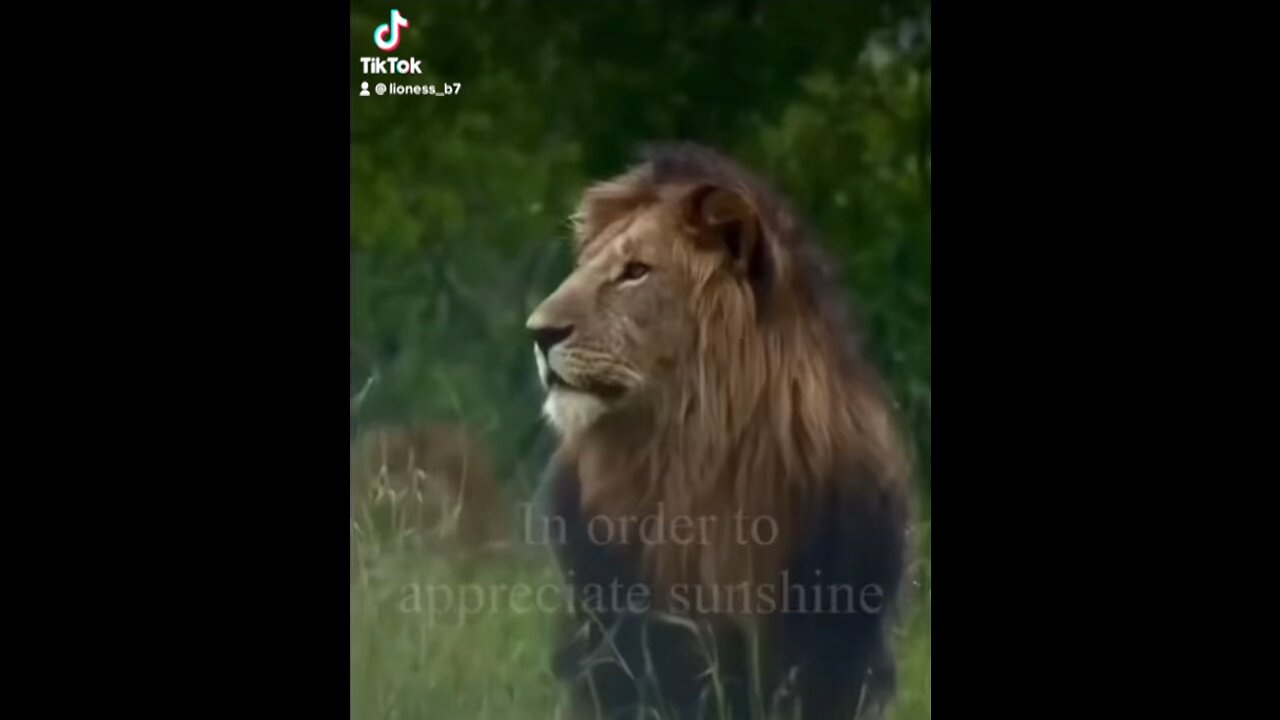 Do you appreciate￼!