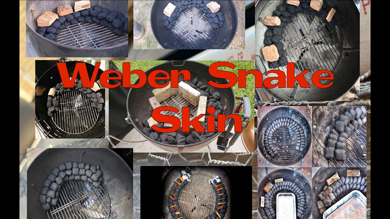 Fastest Weber Snake - The Weber Snake Skin