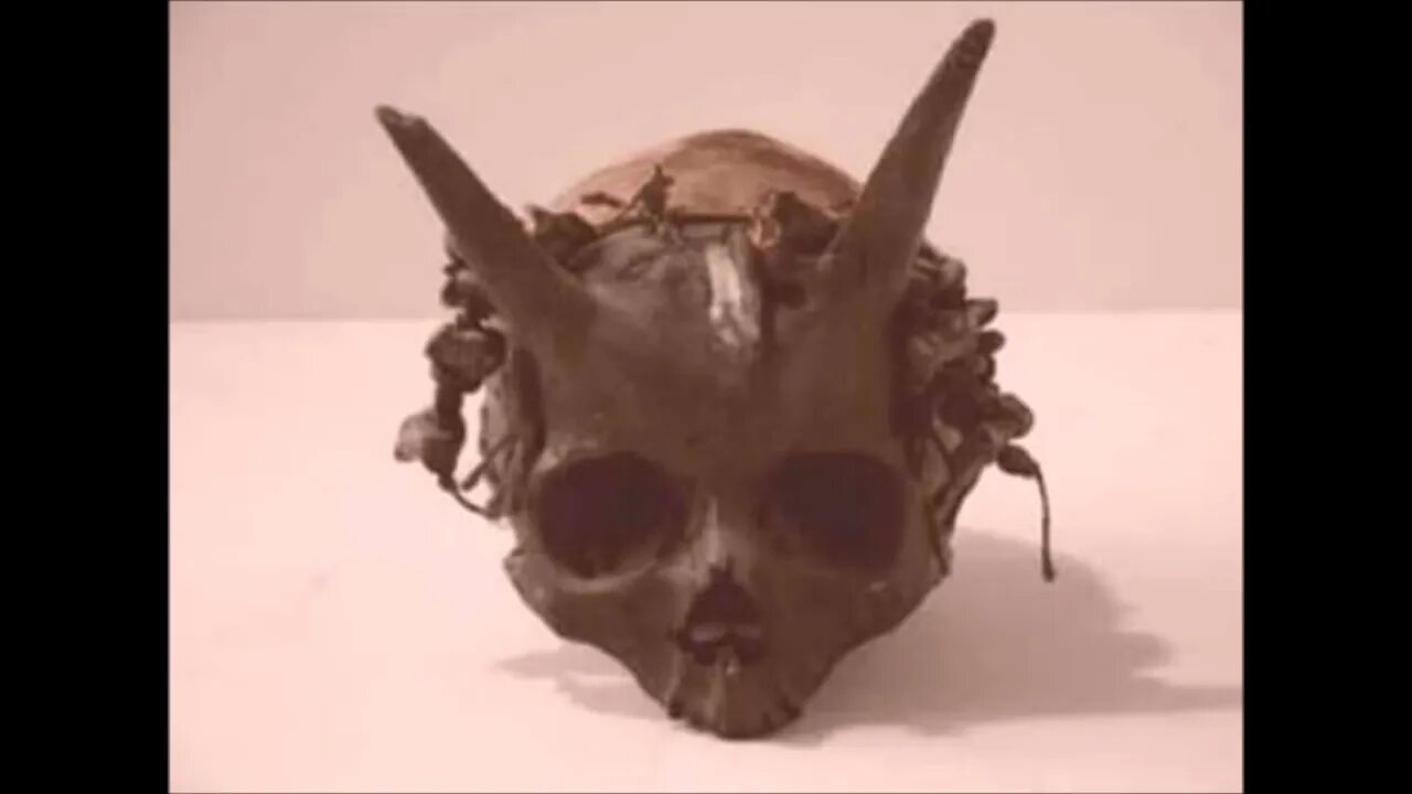 Remains Of Horned Nephilim Found Paranormal News