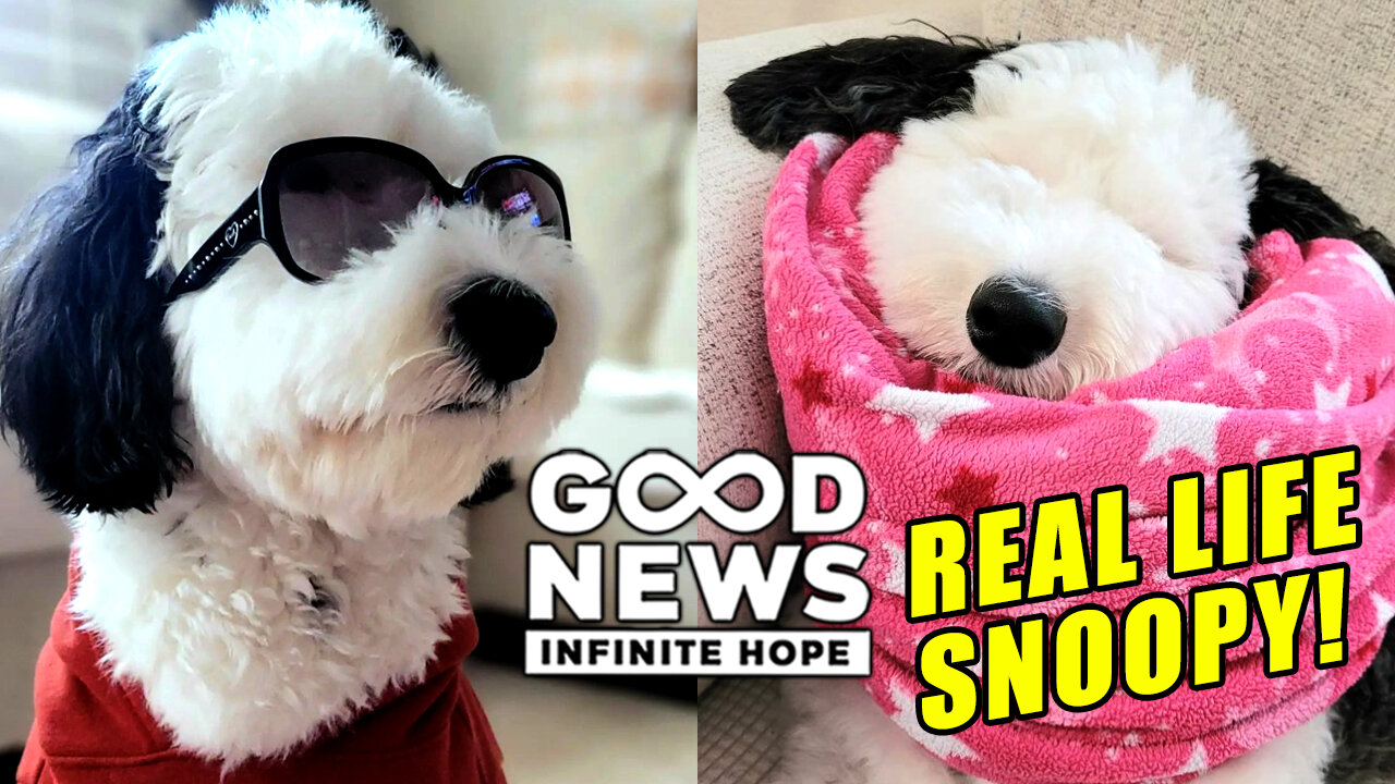 GOOD NEWS - Infinite Hope # 131