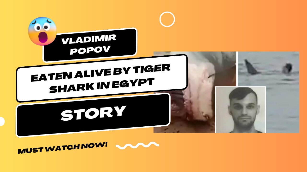 Vladimir Popov EATEN ALIVE By Tiger Shark in Egypt