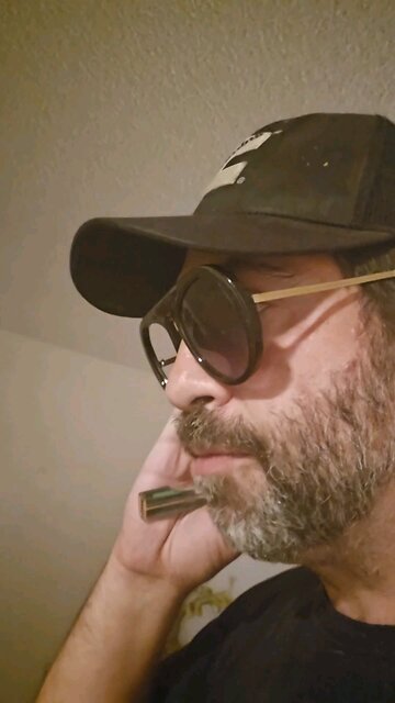 the gangstalking song