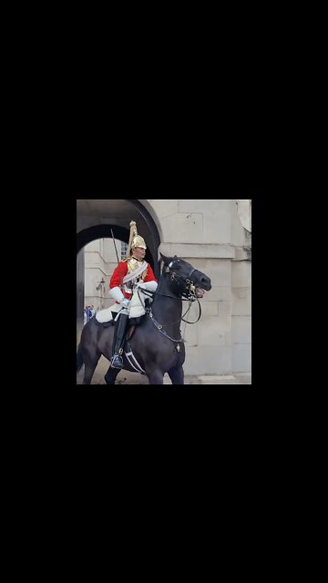Get off the Reins The Horse guard shouts at tourist #horseguardsparade