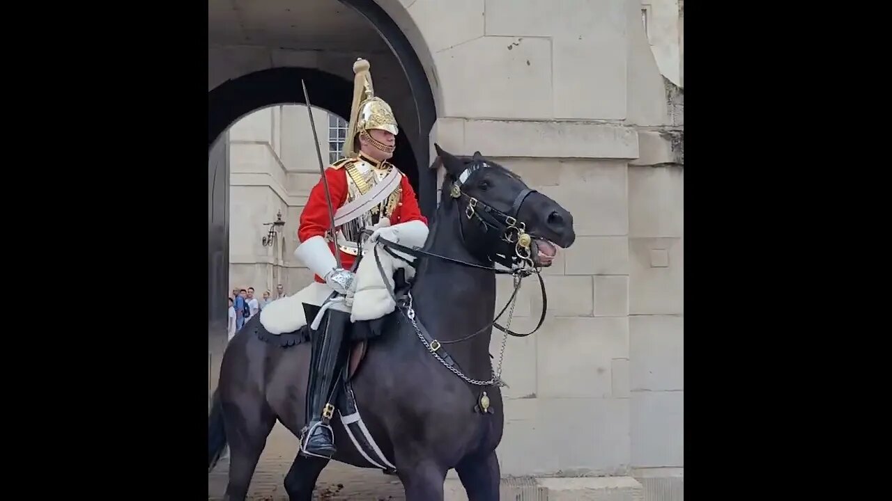 Get off the Reins The Horse guard shouts at tourist #horseguardsparade