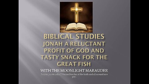 Jonah a Reluctant Profit of God and Tasty Snack for the Great Fish