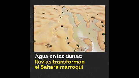 Intensas lluvias transforman el Sahara marroquí tras 30 años de sequías