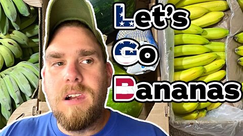 My Vegan Grocery HAUL | Raw Vegan HAUL | More RICE | #bananas