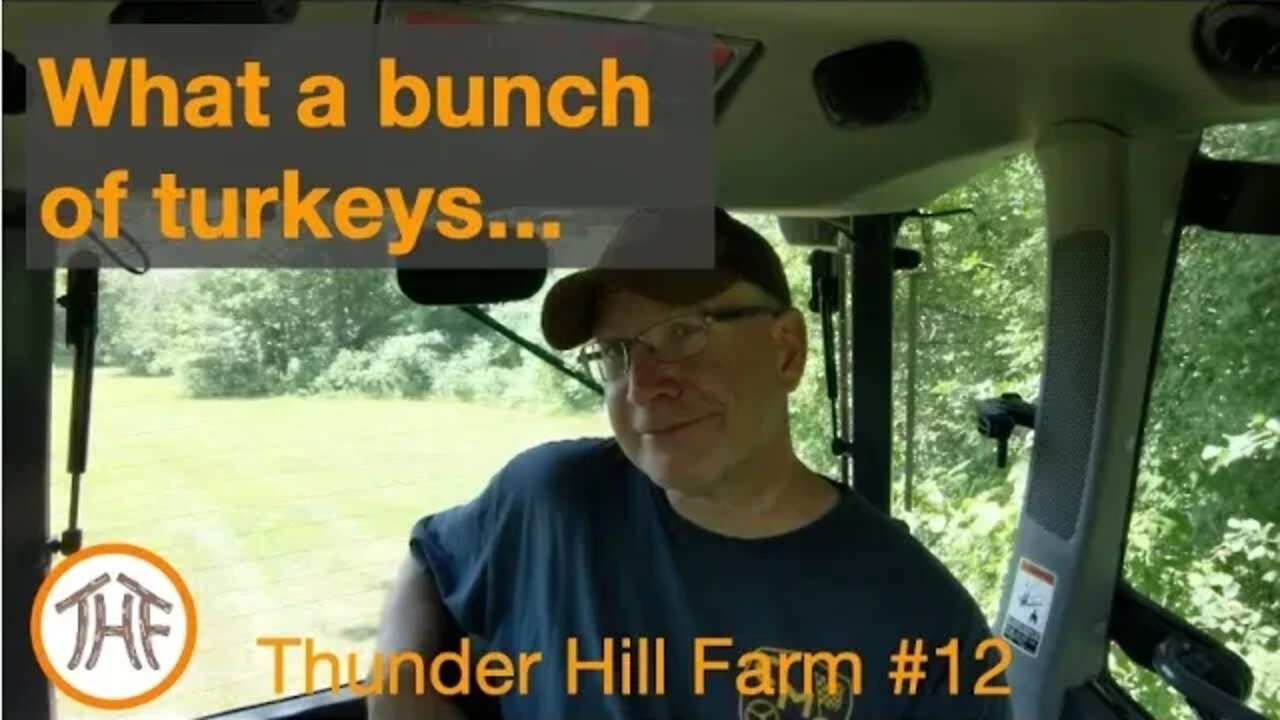 Thunder Hill Farm #12 - What a bunch of turkeys... and one in the Kubota...