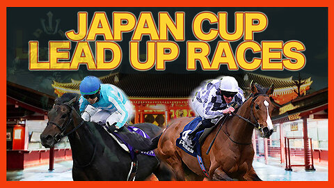 2022 Japan Cup Lead Up Races - SHAHRYAR, VELA AZUL, DANON BELUGA