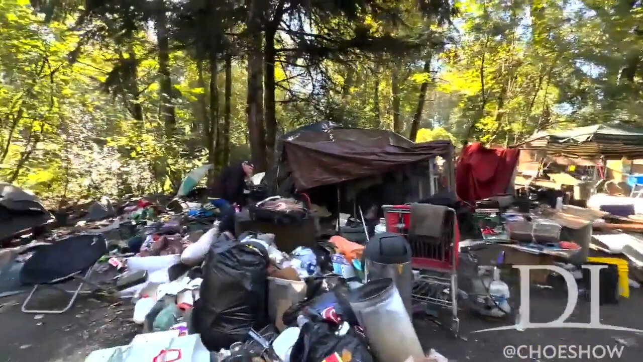 Seattle-Area Youth Soccer League Cancels Season As Concern Grows Over Nearby Homeless Encampment