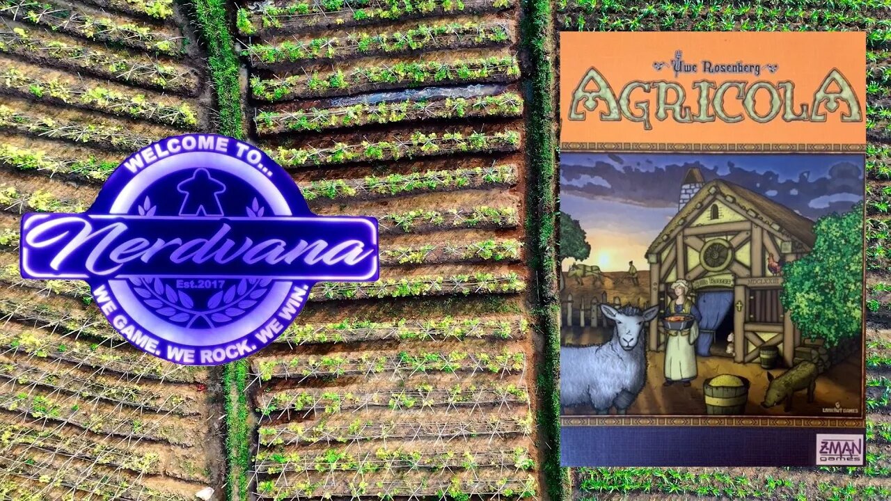 Agricola Board Game Review