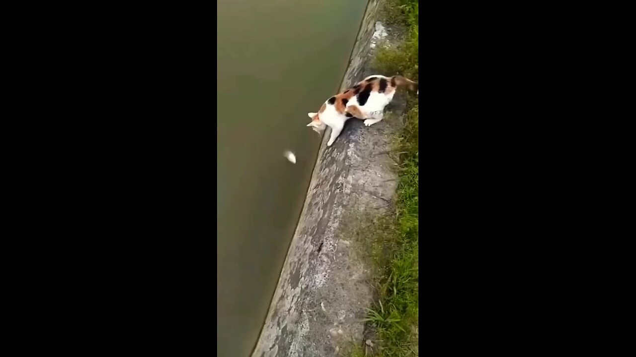 finally she get success