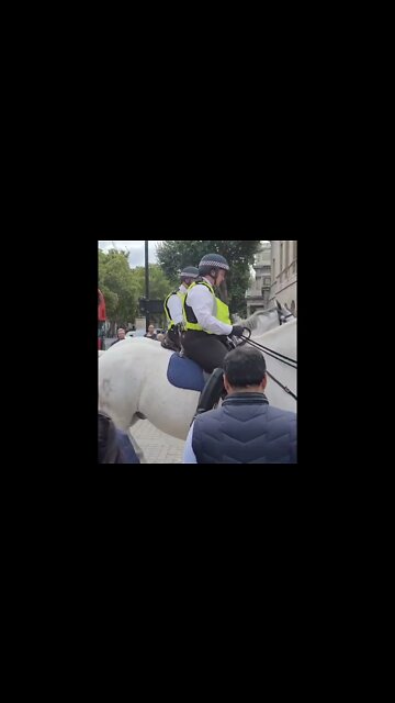 WHITE HORSES #horseguardsparade