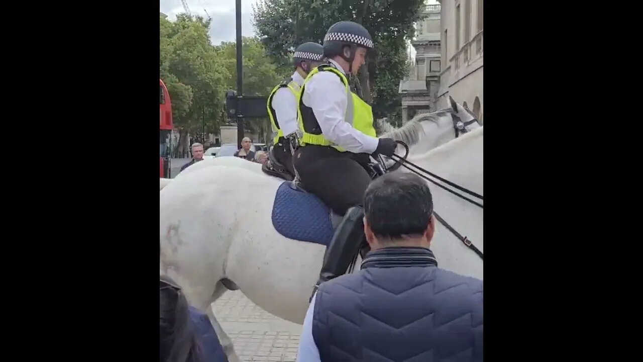 WHITE HORSES #horseguardsparade