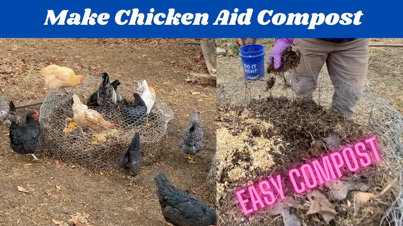 Easy Compost - Use Your Chickens! Part 1