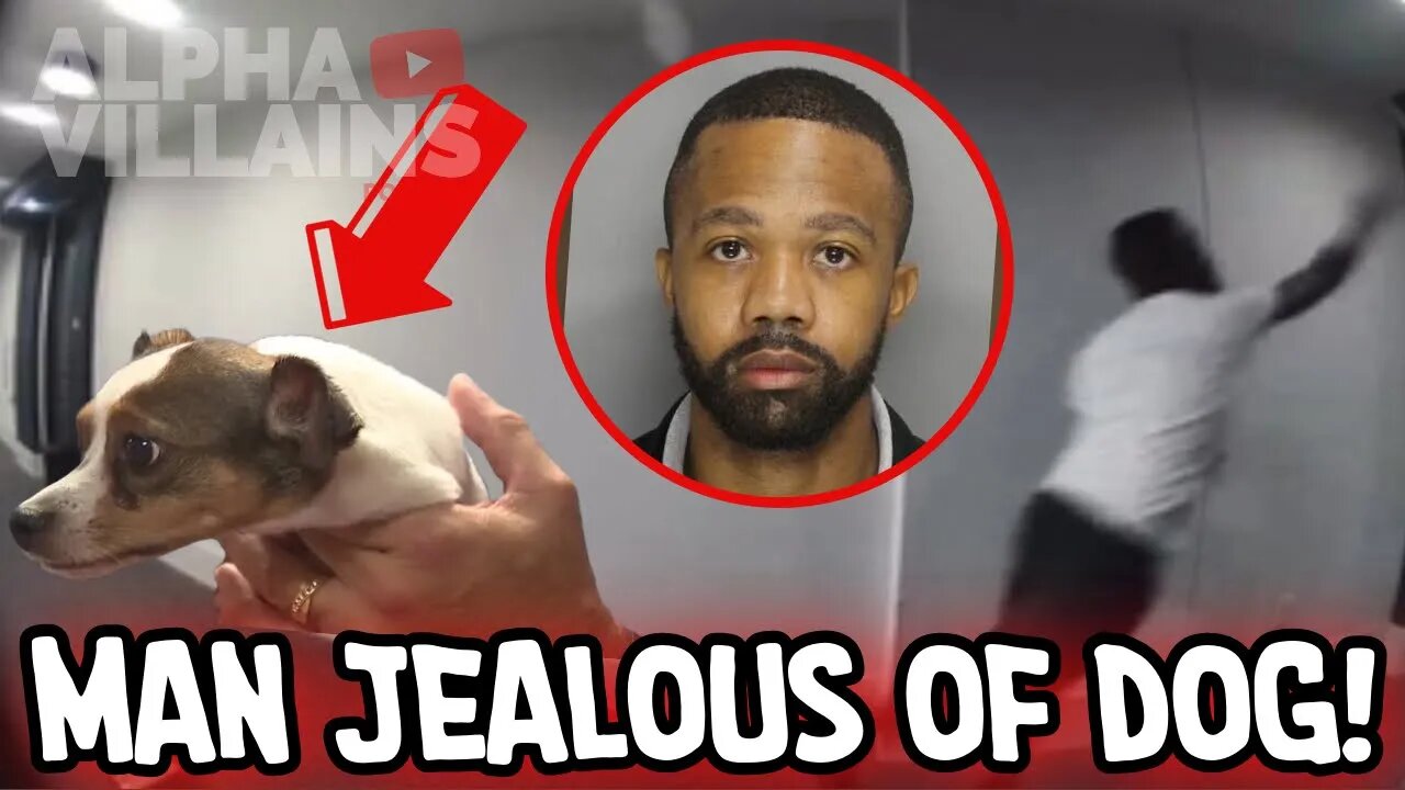 Man Gets Jealous Of His Girlfriends Dog Because She Loves It More Than Him! | Alpha Villains