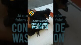 Melhores momentos SE INSCREVA EM TODOS MEUS CANAIS NA DESCRIÇÃO