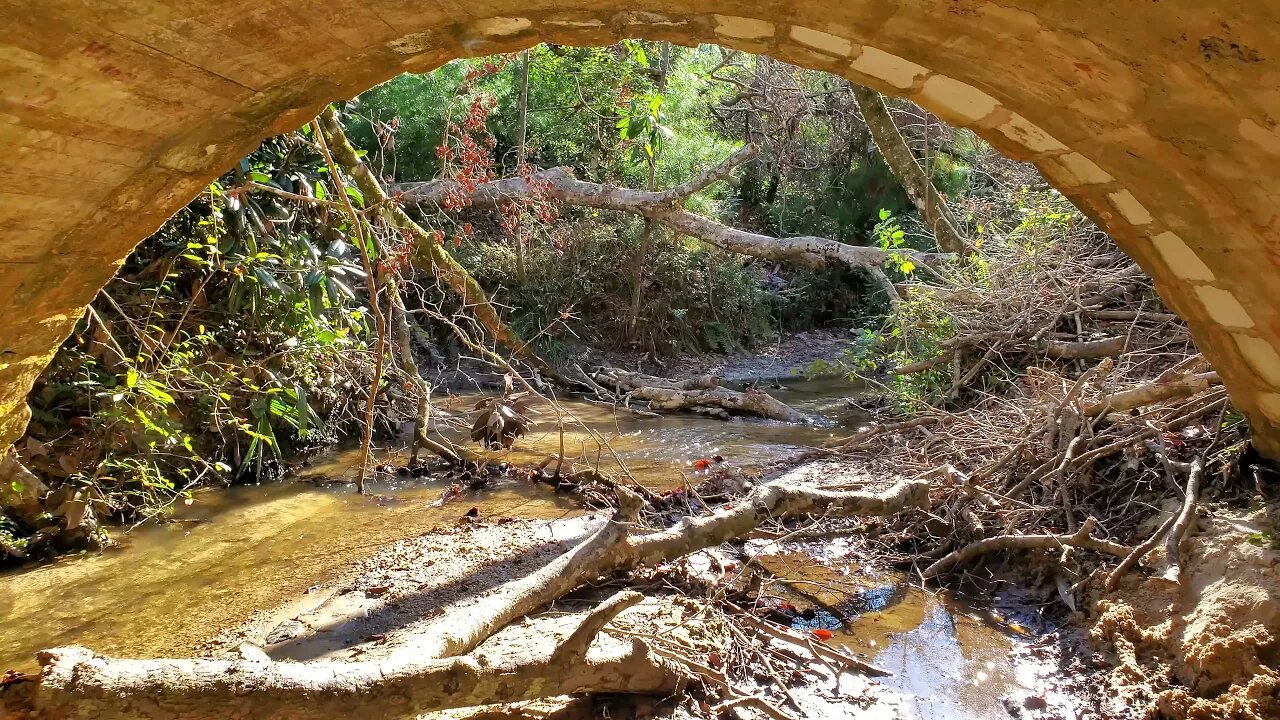 Torreya State Park from Under the Stone Bridge - Winter 2021