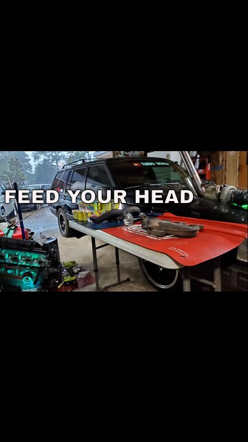 Red Queen Feed Your HEAD