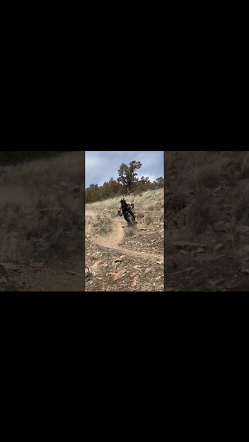 Letting the Orbea Wild eat! #emtb #loamwolf #shorts